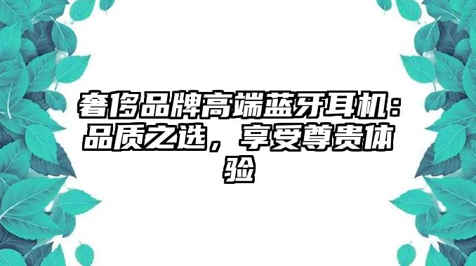 奢侈品牌高端藍牙耳機：品質(zhì)之選，享受尊貴體驗