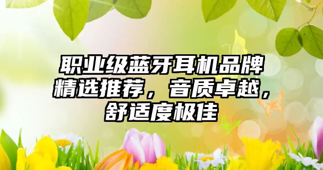 職業(yè)級藍牙耳機品牌精選推薦，音質卓越，舒適度極佳