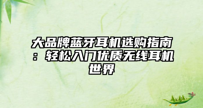 大品牌藍(lán)牙耳機(jī)選購(gòu)指南：輕松入門優(yōu)質(zhì)無線耳機(jī)世界