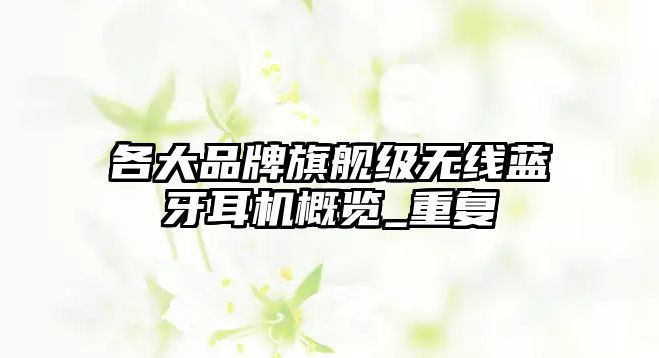 各大品牌旗艦級(jí)無(wú)線藍(lán)牙耳機(jī)概覽_重復(fù)