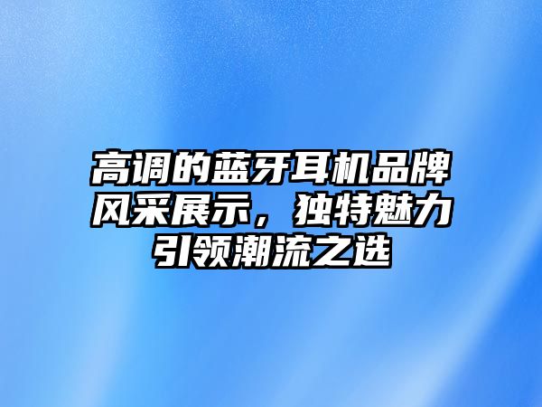 高調的藍牙耳機品牌風采展示，獨特魅力引領潮流之選
