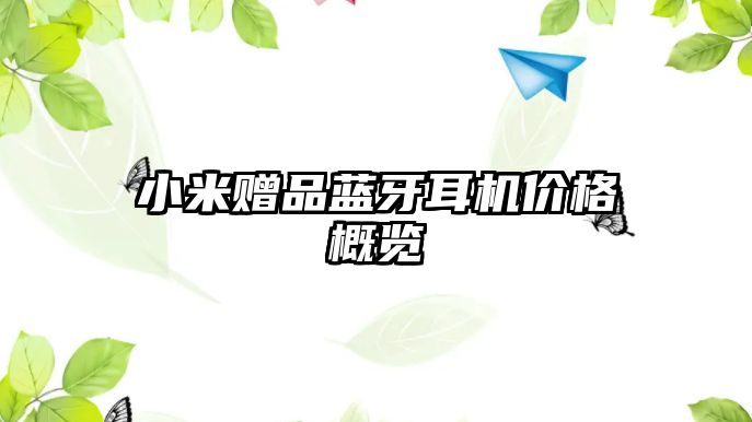 小米贈(zèng)品藍(lán)牙耳機(jī)價(jià)格概覽