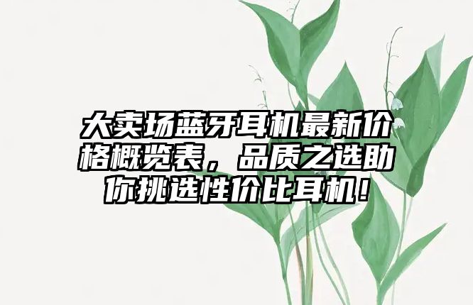 大賣場藍(lán)牙耳機(jī)最新價格概覽表，品質(zhì)之選助你挑選性價比耳機(jī)！